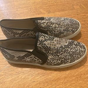 Snake skin Steve Madden slip on shoes